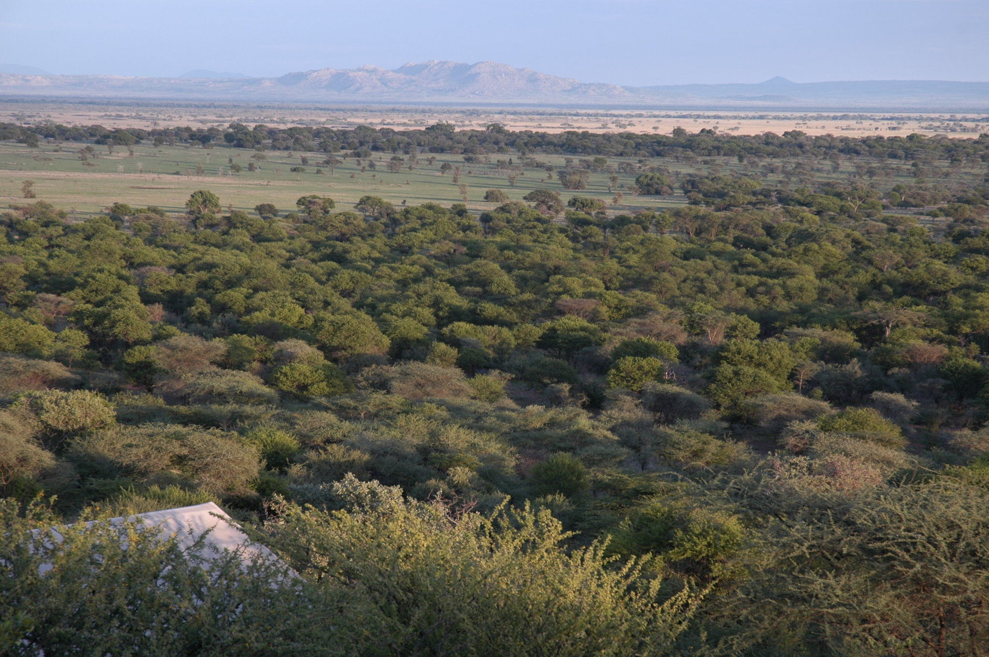 Robanda Kirawira Serena Camp מראה חיצוני תמונה