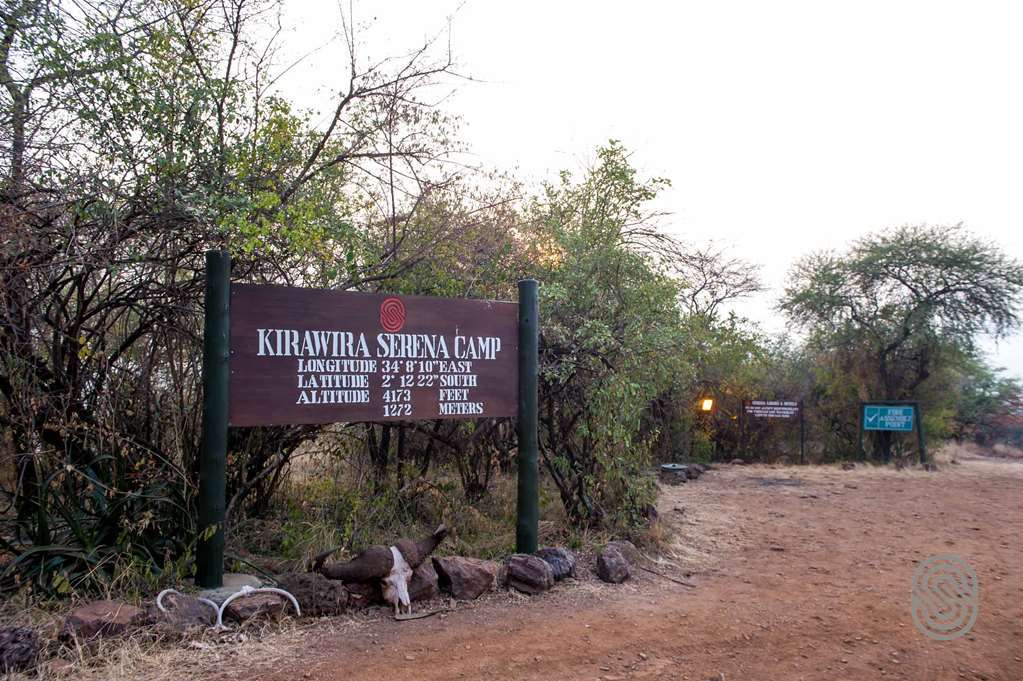 Robanda Kirawira Serena Camp מראה חיצוני תמונה